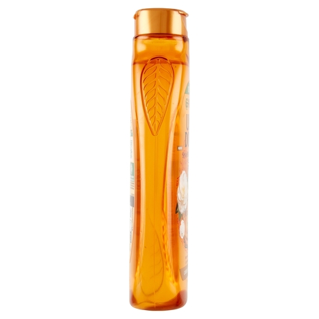 Garnier Ultra Dolce Shampoo Meraviglioso all'olio d'argan e di camelia per capelli secchi, 300 ml